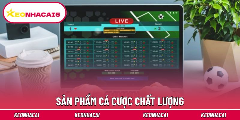 Sân chơi uy tín cần cung cấp kho game chất lượng