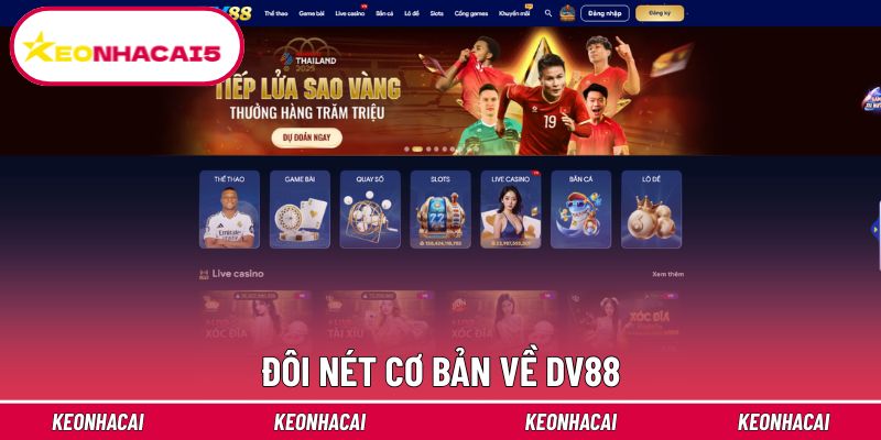 DV88 - Trải Nghiệm Nhà Cái Cá Cược Trực Tuyến Đáng Tin Cậy 2 Khái quát chung về Dv88