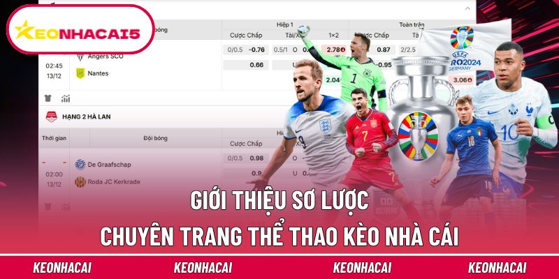 Trang chủ 17 Thông tin cụ thể giới thiệu website Kèo Nhà Cái