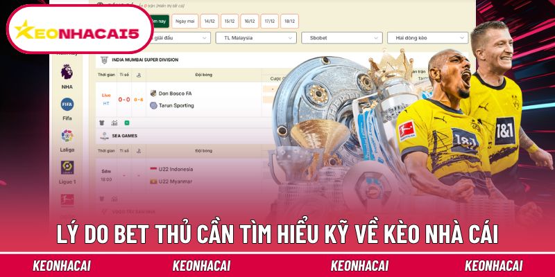 Trang chủ 18 Lý do người chơi phải tìm hiểu phần thông tin từ kèo nhà cái