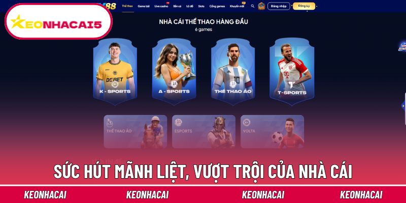 DV88 - Trải Nghiệm Nhà Cái Cá Cược Trực Tuyến Đáng Tin Cậy 3 Điểm cuốn hút nổi bật và độc đáo