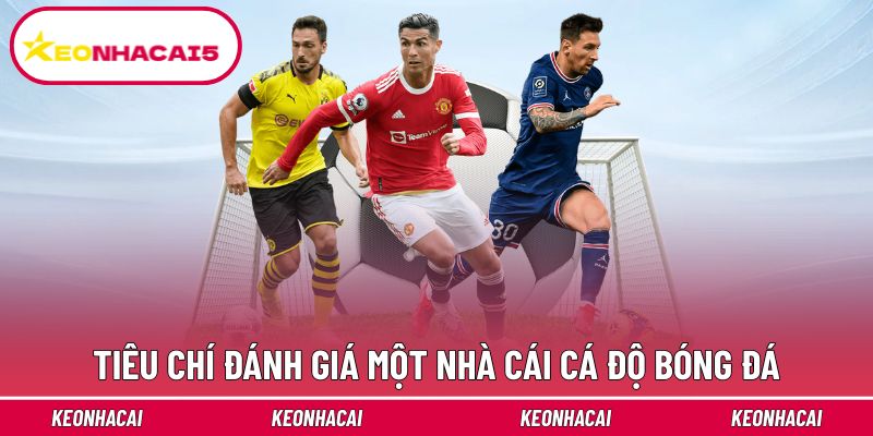 Tiêu chí đánh giá một nhà cái cá độ bóng đá